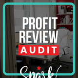 Load image into Gallery viewer, Profit Review Audit